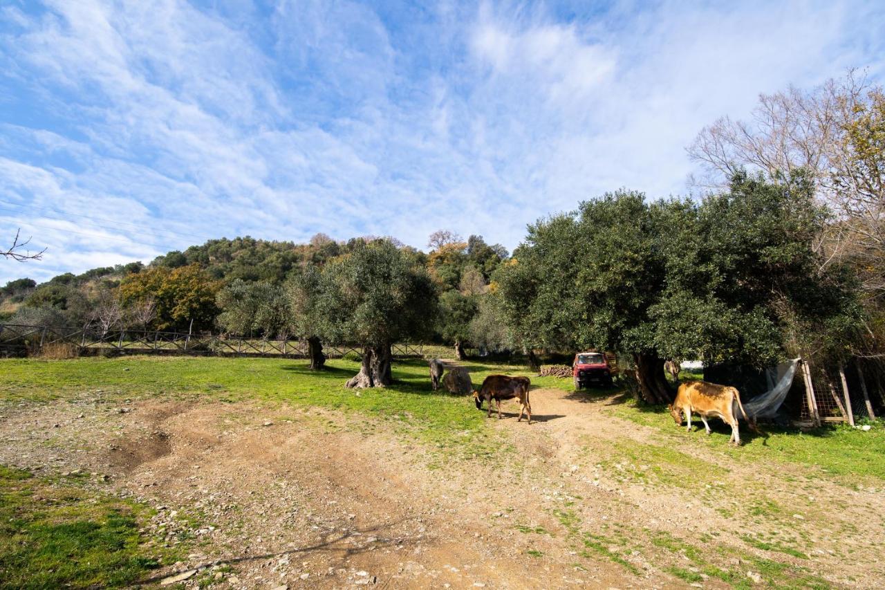 Agriturismo San Basilio Salento Exterior photo